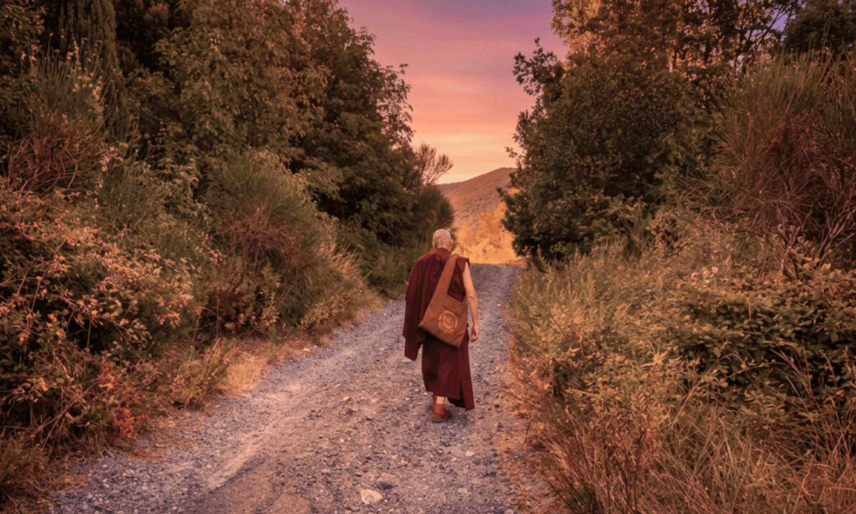 Cammino per la pace - trekking e meditazione nella natura